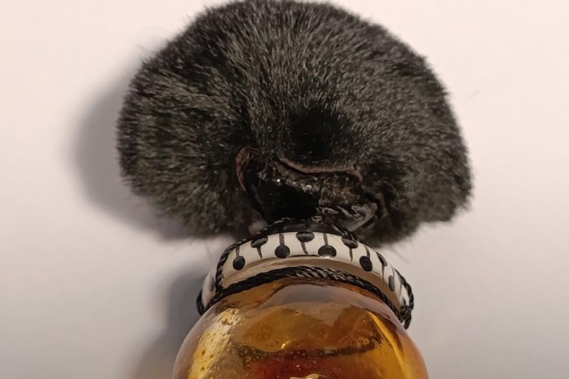 Golliwog, Vigny : photo 6 d'un flacon de parfum ancien